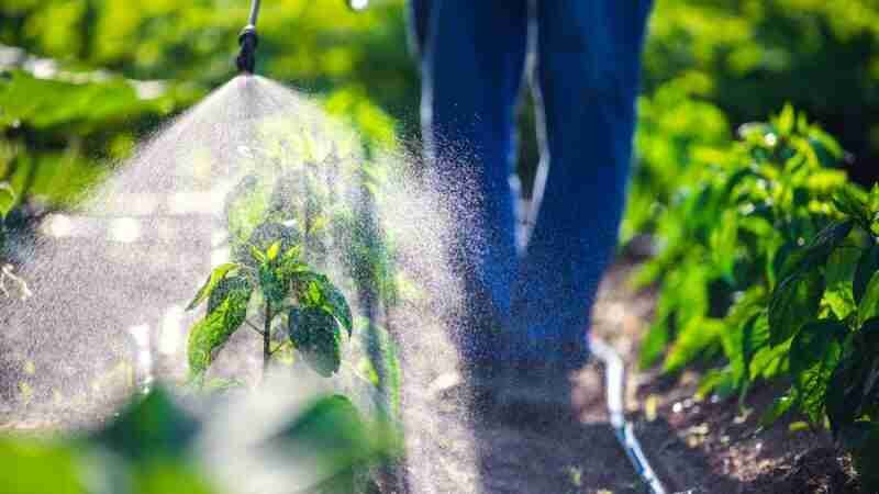 Οδηγός για τον καταναλωτή από το EWG για τα φυτοφάρμακα στα προϊόντα 24 Τοξικά φυτοφάρμακα