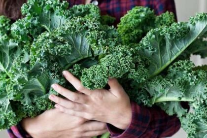 Ποιος δεν θα ήθελε να διαθέτει περισσότερη ενέργεια; Τρόφιμα που βοηθούν στην καταπολέμηση της κούρασης