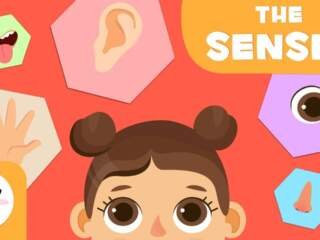 Οι πέντε αισθήσεις του μωρού σας οσμή, αφή, γεύση, όραση, ακοή 25 Αισθήσεις του μωρού