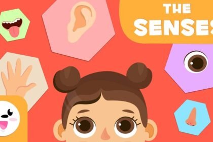 Αισθήσεις του μωρού