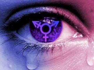 Δυσφορία Φύλου (Διαταραχή ταυτότητας φύλου) 41 Δυσφορία Φύλου (Διαταραχή ταυτότητας φύλου)