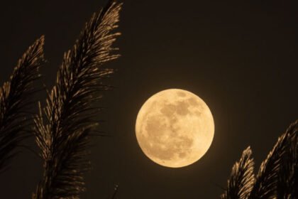 moon2