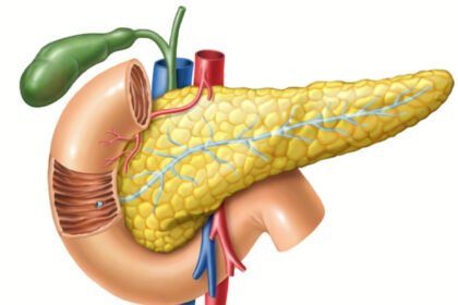 Χρόνια Παγκρεατίτδα