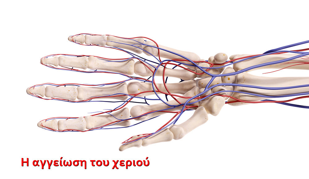 Γιατί είναι τόσο κρύα τα χέρια μου; Πιθανές αιτίες για τις οποίες έχει κανείς κρύα χέρια 6