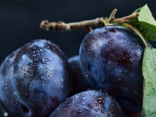 Δαμάσκηνα: Διατροφικά δεδομένα και οφέλη για την υγεία 42 Δαμάσκηνα