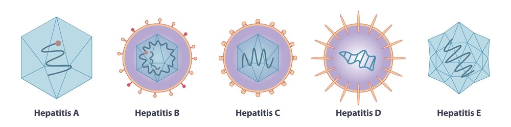 Πώς μεταδίδεται η ηπατίτιδα;
