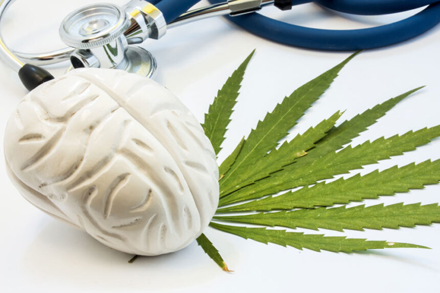 cannabis brain health