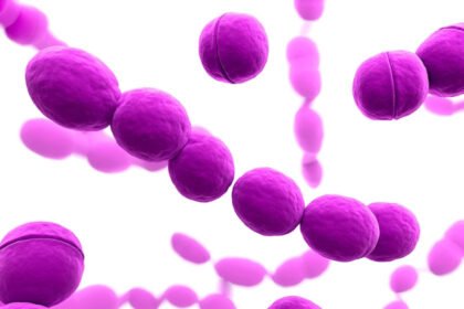 Διεισδυτικός στρεπτόκοκκος της ομάδας Α