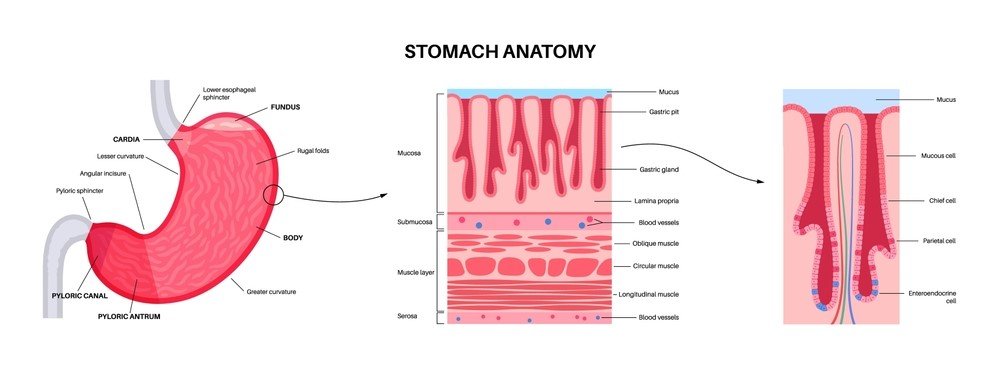 Μη στεροειδή αντιφλεγμονώδη φάρμακα και ο κίνδυνος για πεπτικό έλκος (στομάχι και δωδεκαδάκτυλος)