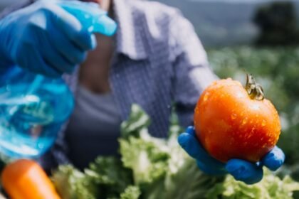 Υπολείμματα φυτοφαρμάκων στα τρόφιμα.