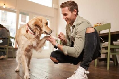 spending time with a pet 1