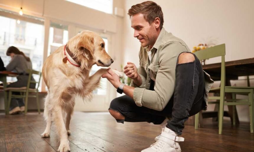 spending time with a pet 1