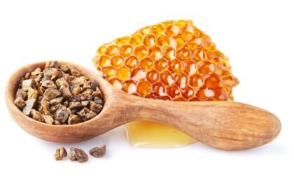 Η πρόπολη είναι ένα μείγμα από κερί, ρητίνη και έλαια που οι μέλισσες συλλέγουν και χρησιμοποιούν για να χτίσουν και να επισκευάσουν τις κυψέλες τους.