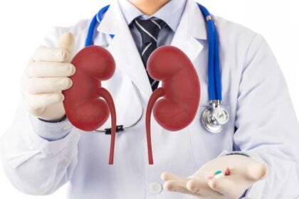Πράγματα που δεν γνωρίζετε για τους νεφρούς σας